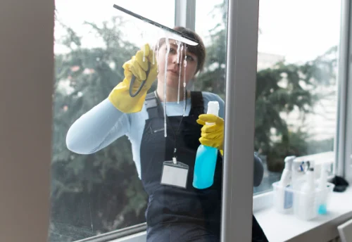 Nettoyage de vitres intérieures et extérieures à Faucon-du-Caire